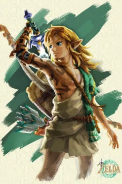 The Legend of Zelda Tears of the Kingdom Poster Link