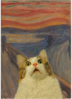 The Meow 02