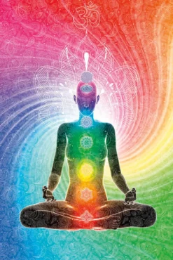 The Seven Chakras Poster Meditation