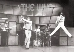 The Who Poster Live