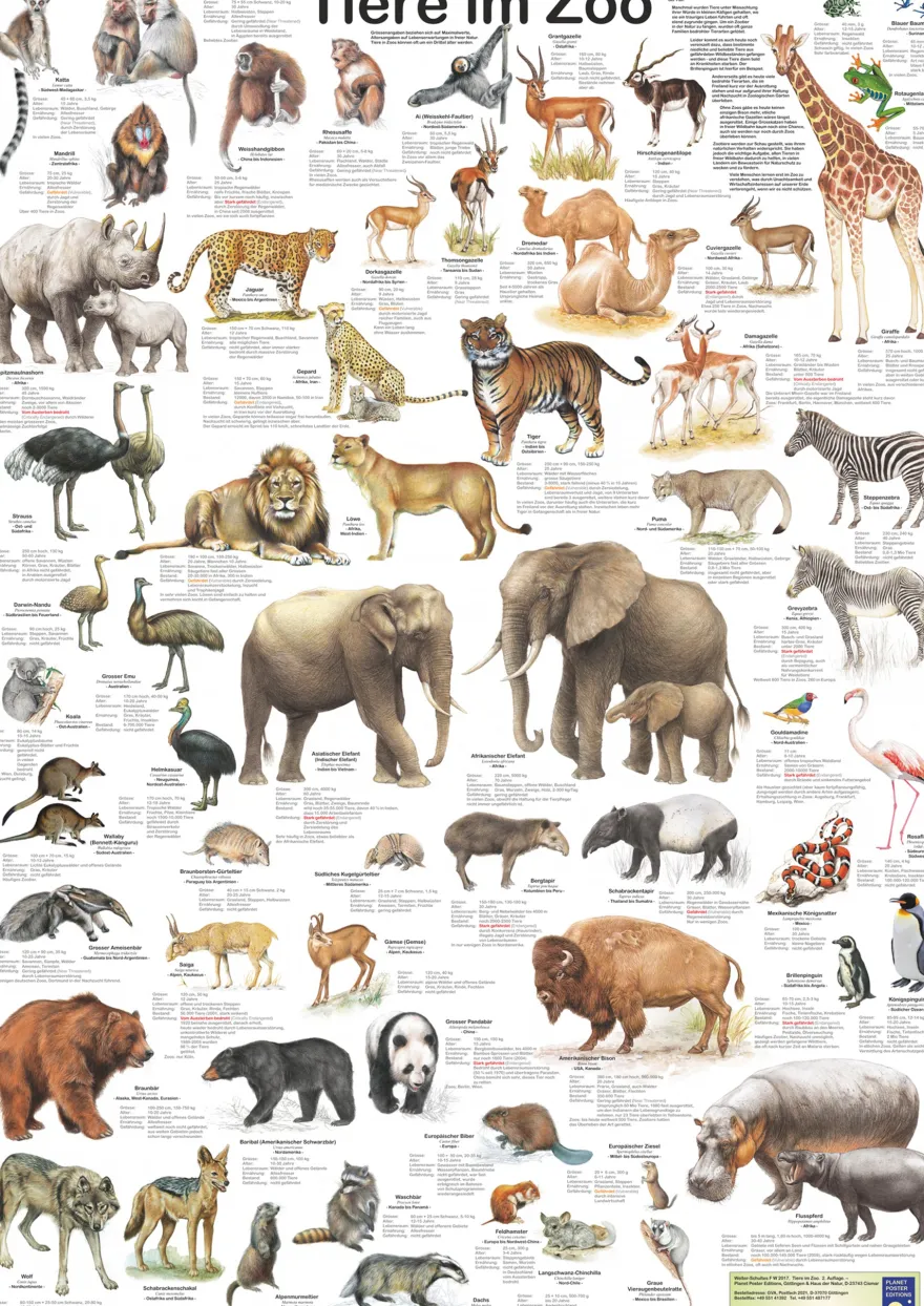 Tiere im Zoo Poster deutsch DIN A1