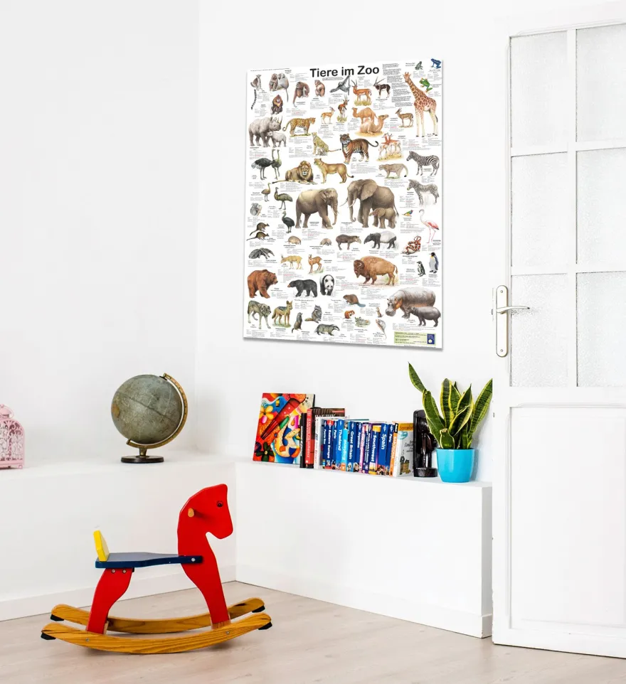 Tiere im Zoo Poster deutsch DIN A1