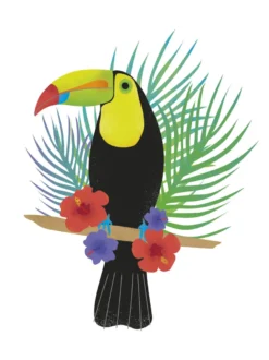 Toucan Tropics - Free Kunstdruck Clara Wells