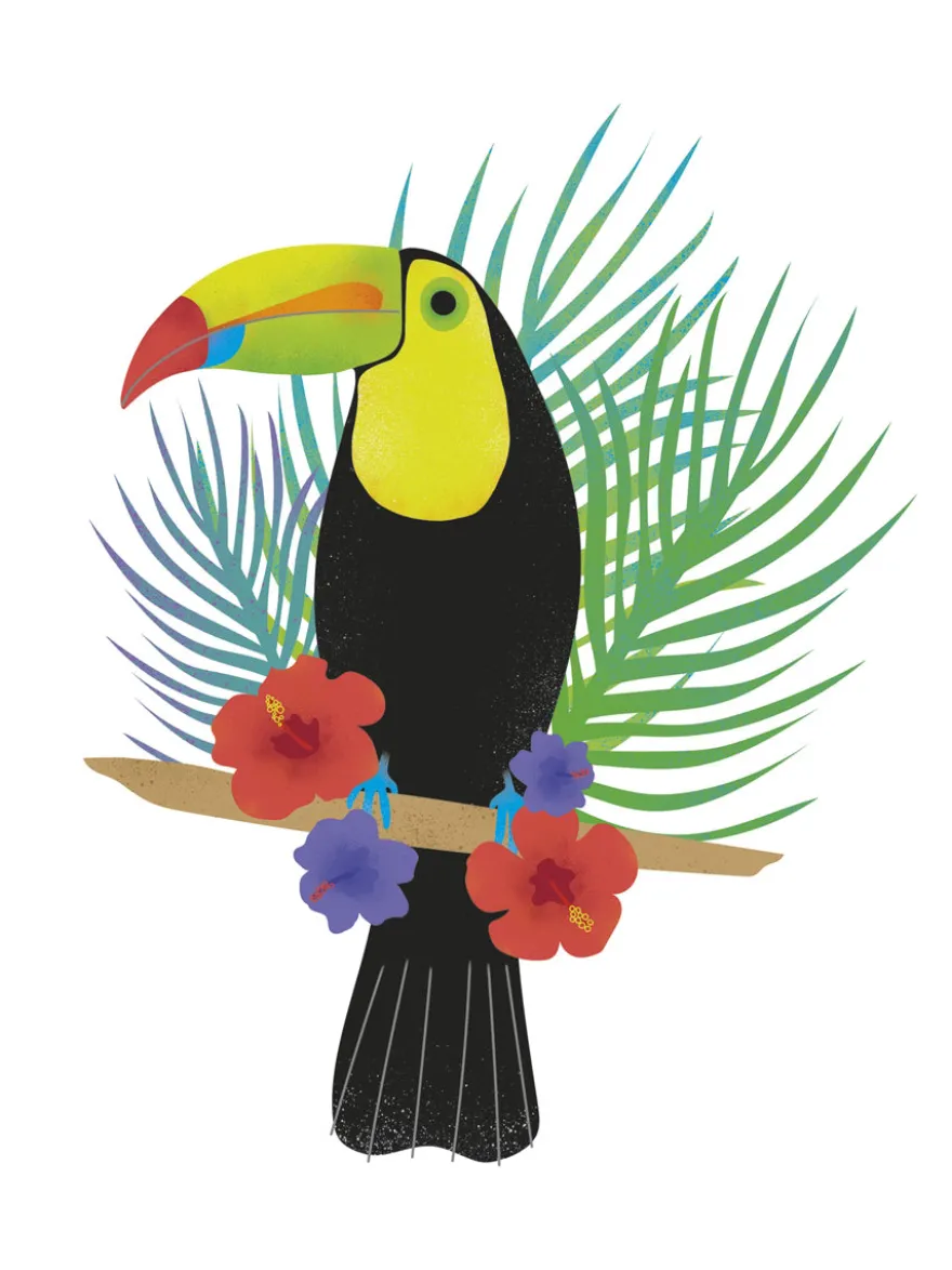 Toucan Tropics - Free Kunstdruck Clara Wells