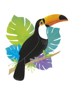 Toucan Tropics - Wild Kunstdruck Clara Wells
