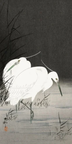 Two Egrets In The Reeds | Kunstdruck Ohara Koson | 20x40 cm