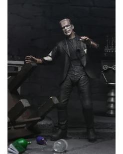 Universal Monsters Bride of Frankenstein 2-Pack