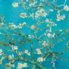 Van Gogh Riesenposter Mandelblüten, 1890