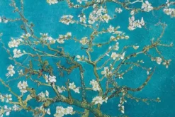 Vincent Van Gogh Poster Mandelblüten, 1890