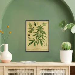 Vintage Lehrposter Kunstdruck Hanf. Cannabis sativa L.