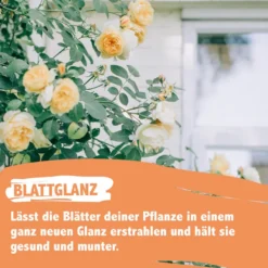 Vitadrops Neemöl PflanzenSchutz Spray Niemöl
