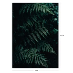 Wald Druck Farn Din A4