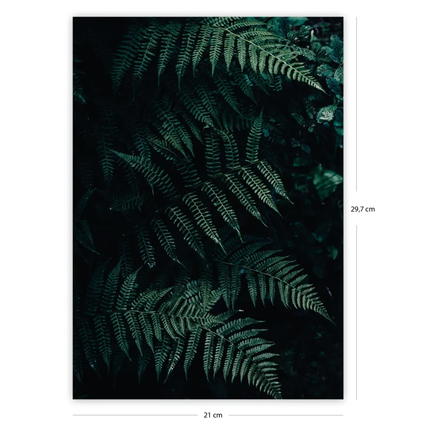 Wald Druck Farn Din A4