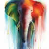Wasserfarben Elefant Miniprint