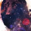 Wolf Universe Kunstdruck Robert Farkas