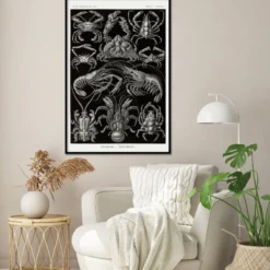 Zehnfußkrebse Poster Haeckel Kunstformen der Natur Tafel 86