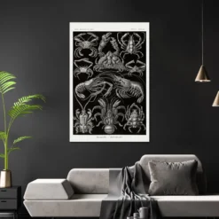 Zehnfußkrebse Poster Haeckel Kunstformen der Natur Tafel 86